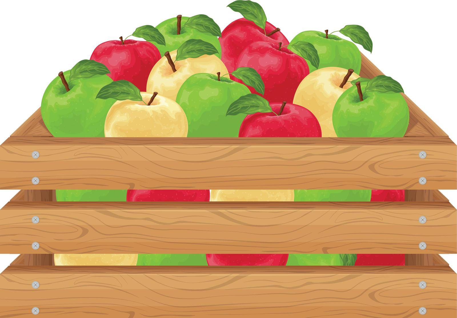 Apples. Ripe apples in a wooden box. A box with colorful apples. Ripe fruit. Organic vegetarian products. Farm products. Vector illustration isolated on a white background by NastyaN