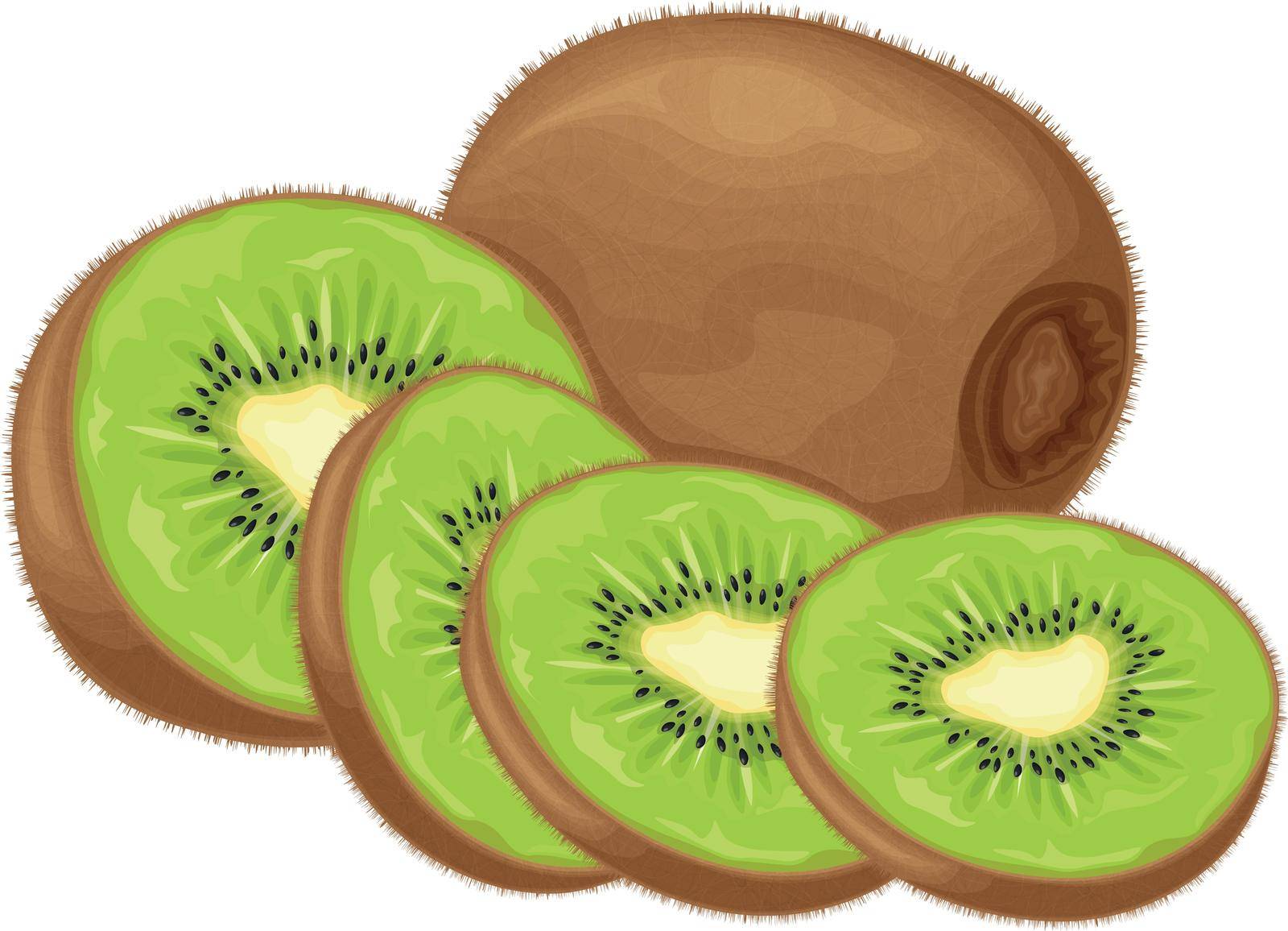 Kiwi fruit. Ripe kiwi. Image of a ripe kiwi fruit. Vitamin fruit. Organic vegetarian products. Vector illustration isolated on a white background by NastyaN