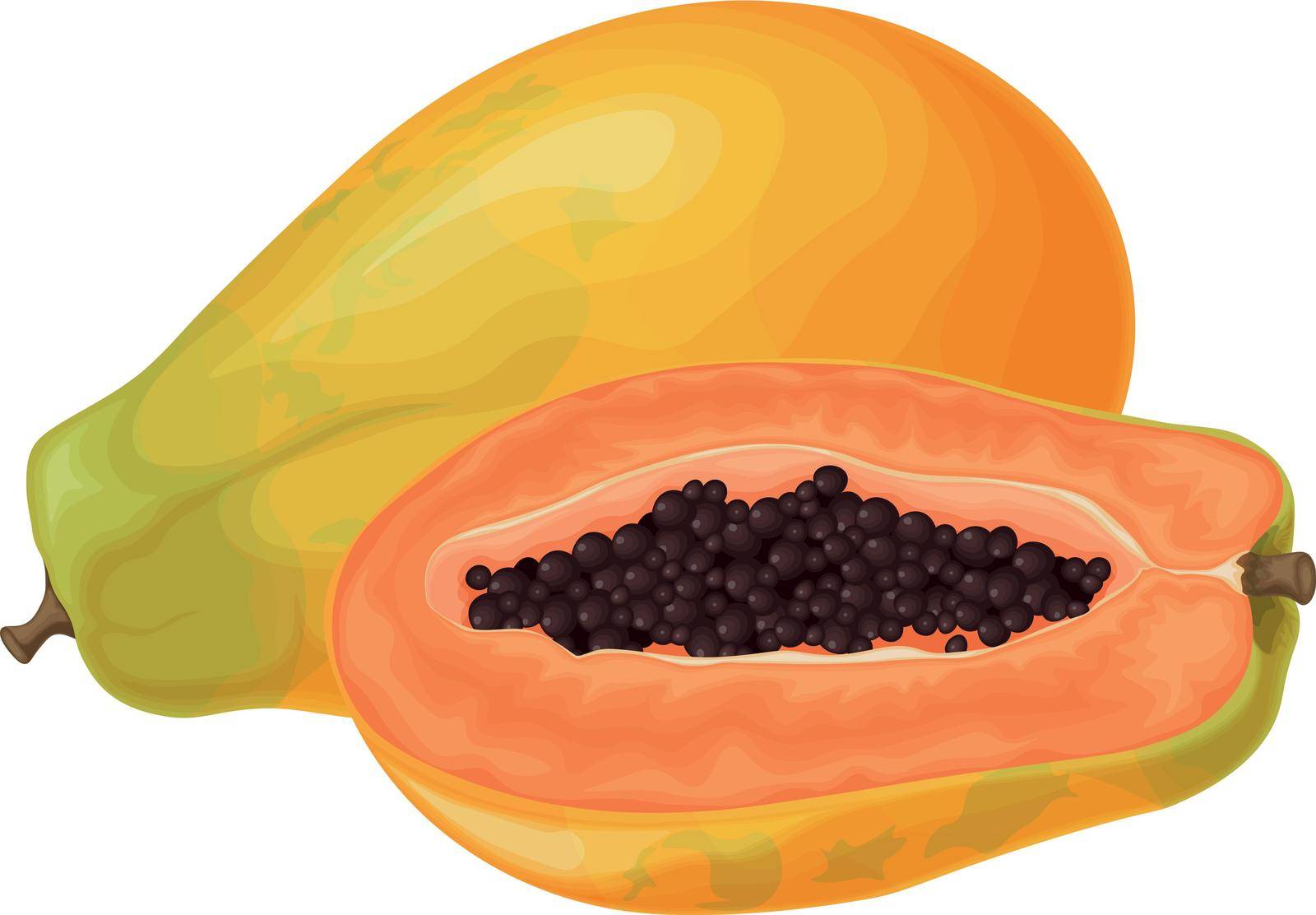 Papaya. Fresh, sweet papaya. Ripe fruit. Exotic fruits. Papaya in the cut. Vector illustration isolated on a white background by NastyaN