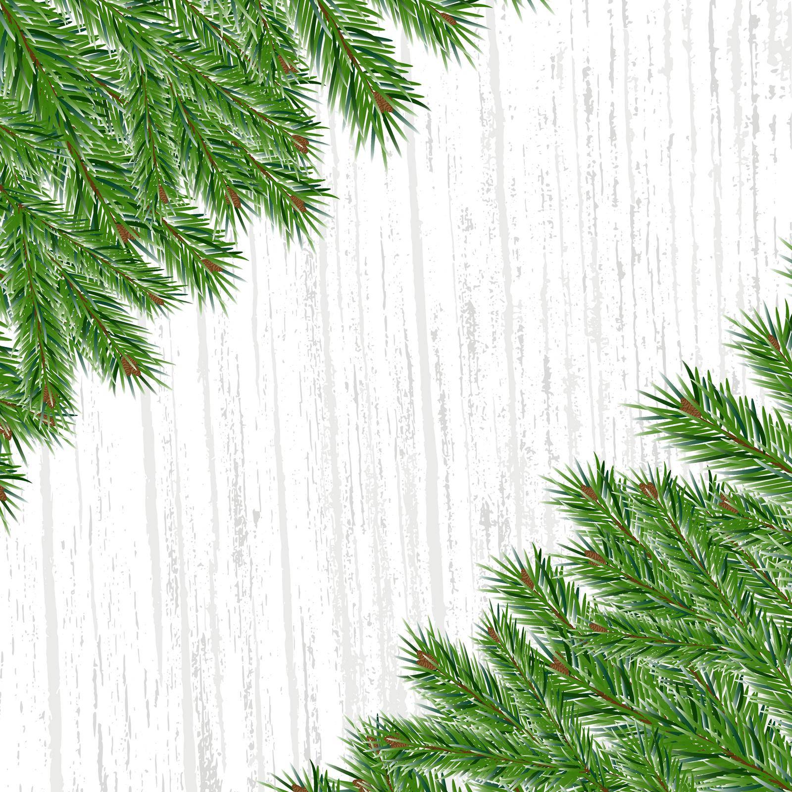 background with spruce branches by Mallva