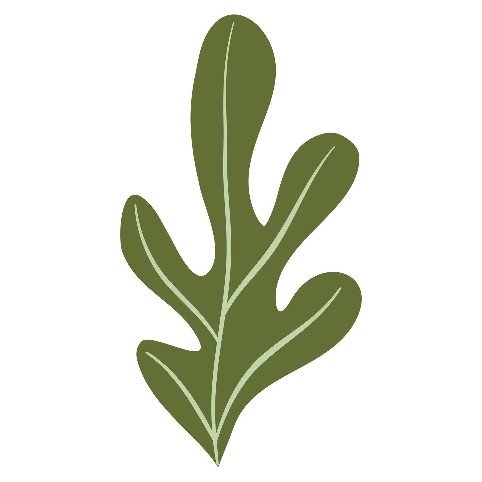 Hand Drawn Flat Doodle Leaf. Nature Green Leaf Design Element. Vector illustration