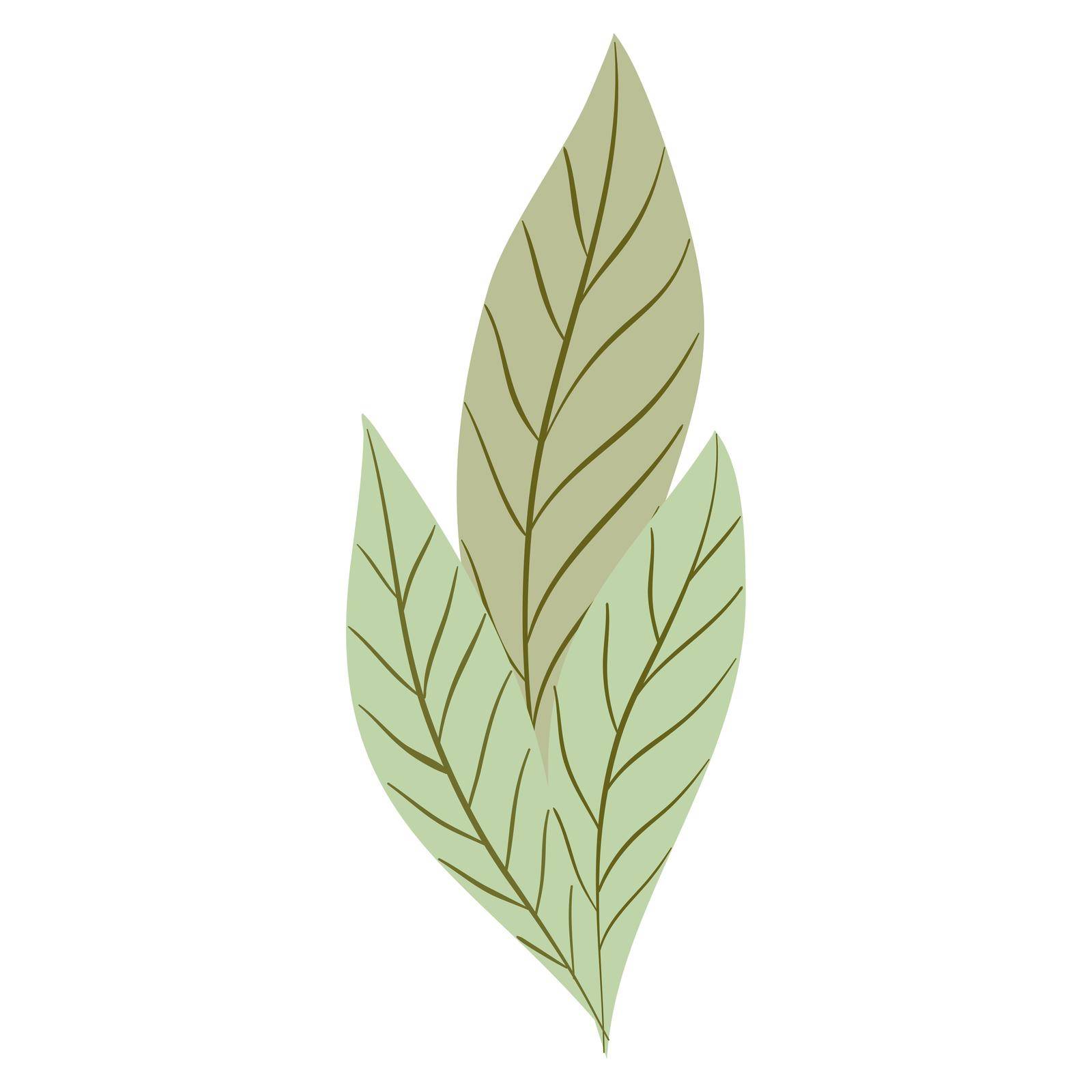 Hand Drawn Flat Doodle Leaf. Nature Green Leaf Design Element. by iliris