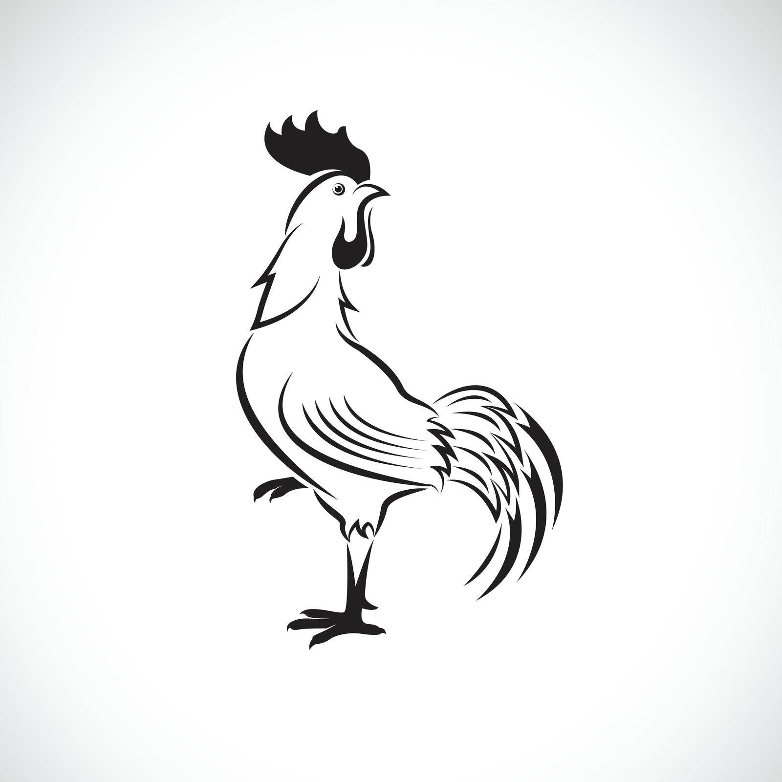 Vector of cock or rooster design on white background. Easy editable layered vector illustration. Farm Animals. by yod67