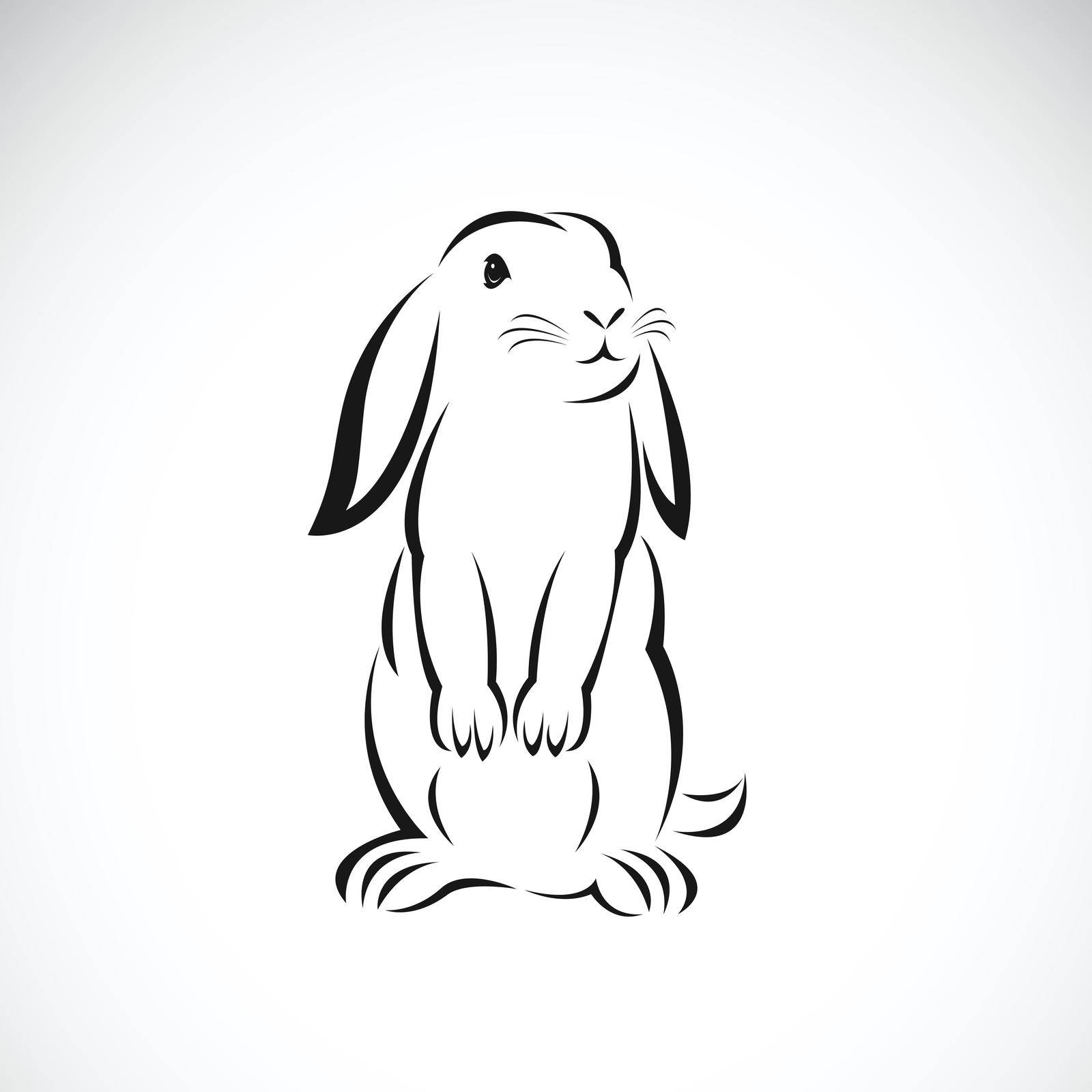 Vector of rabbit design on white background. Easy editable layered vector illustration. Wild animals. by yod67
