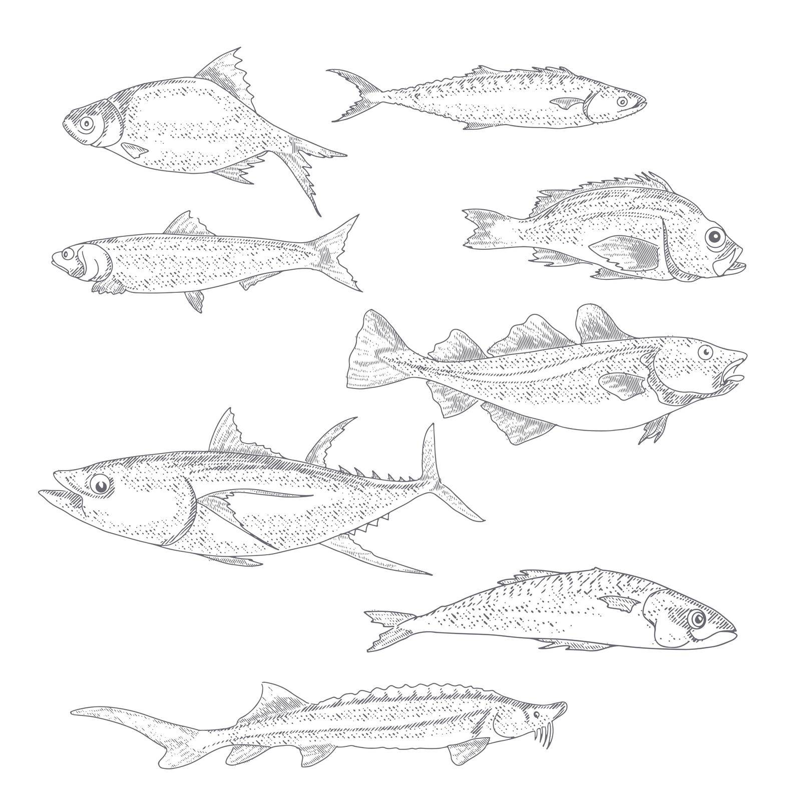 A set of river and sea fishing. Collection of fish in engraving style, isolated on a white background