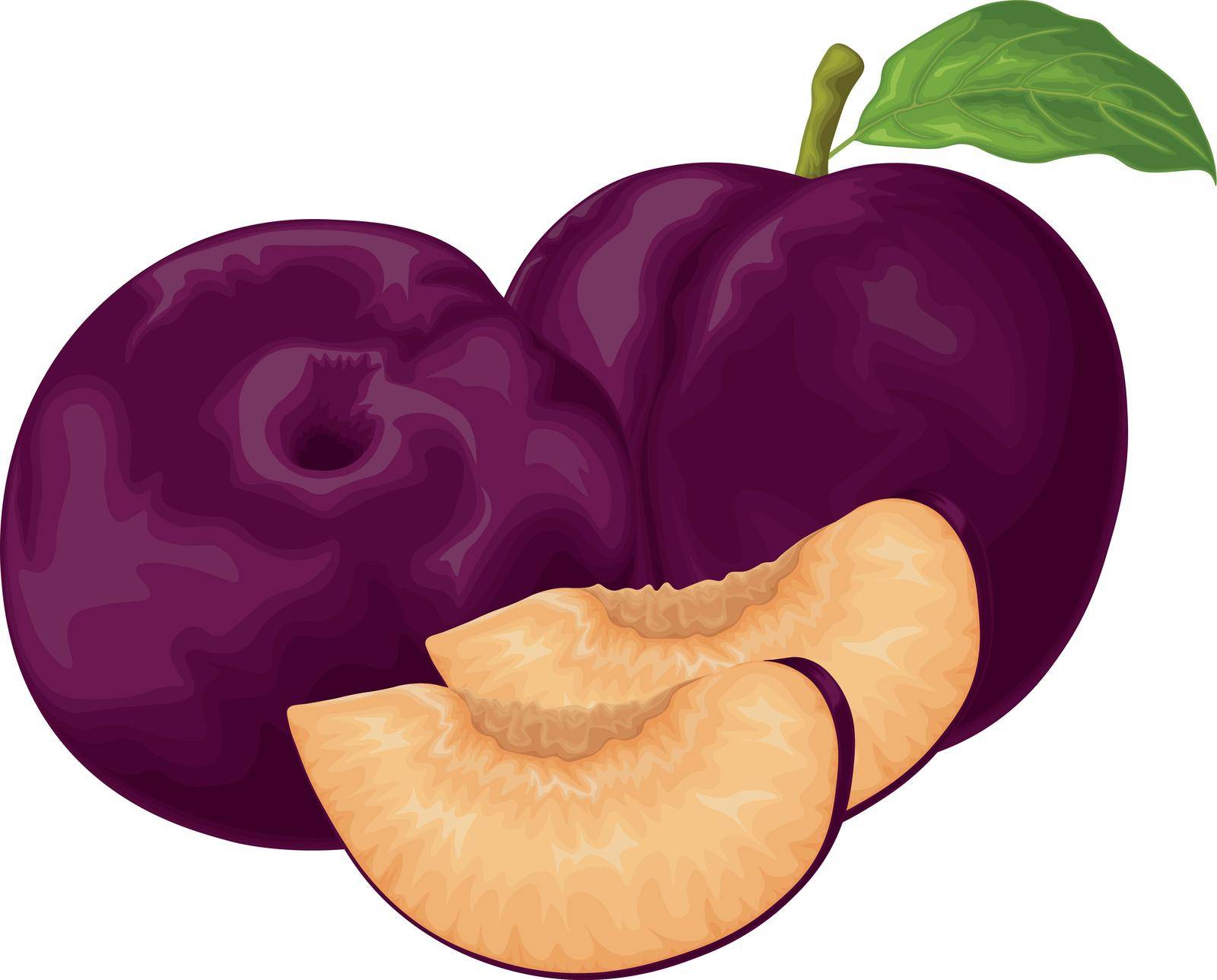 Plum. Ripe purple plum. Fresh sweet plum. Ripe juicy plum berry in the section. Vegetarian organic product. Vector illustration isolated on a white background.