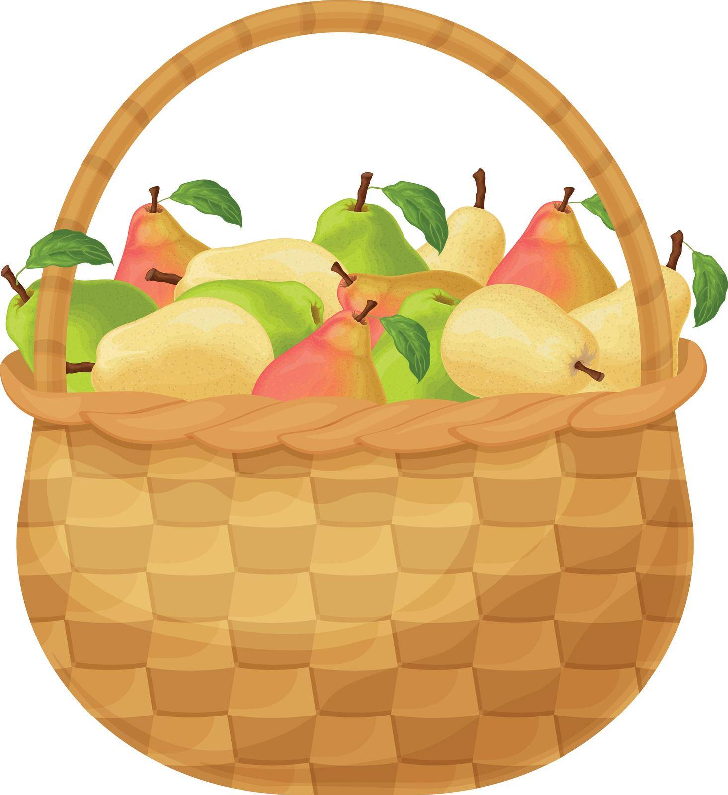 Pears. Basket with pears. Ripe pear fruits in a basket. Fresh garden fruits. Juicy pears in the basket. Vector illustration isolated on a white background