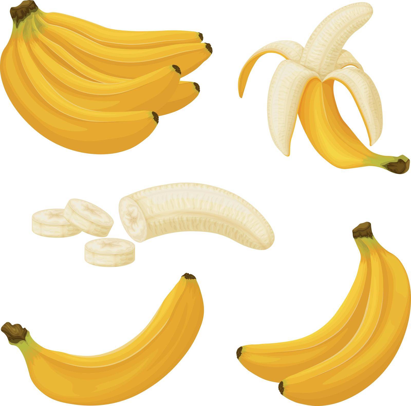 Bananas. Image of bananas. Bananas peeled and cut into pieces. Tropical fruit. Vegetarian product. Vector.