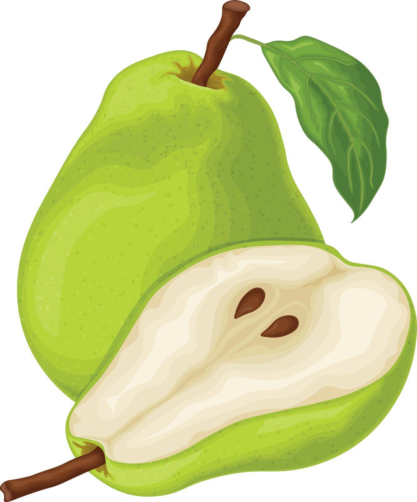 Pear. An image of a ripe green pear. A cut piece of pear. Sweet fruit from the garden. Vegetarian vitamin product. Vector illustration.