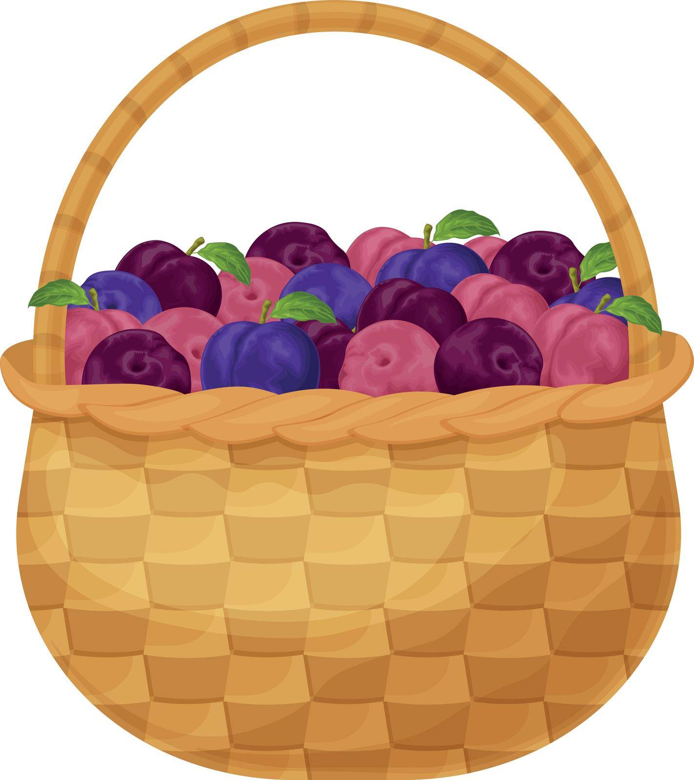 Plums. Ripe plums in the basket. Basket with fresh plums. Garden fruits. Vegetarian organic products. Vector illustration isolated on a white background.
