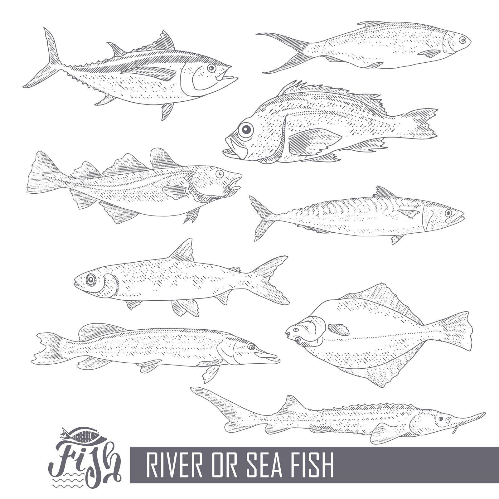 A collection of fish in vintage style by GALA_art