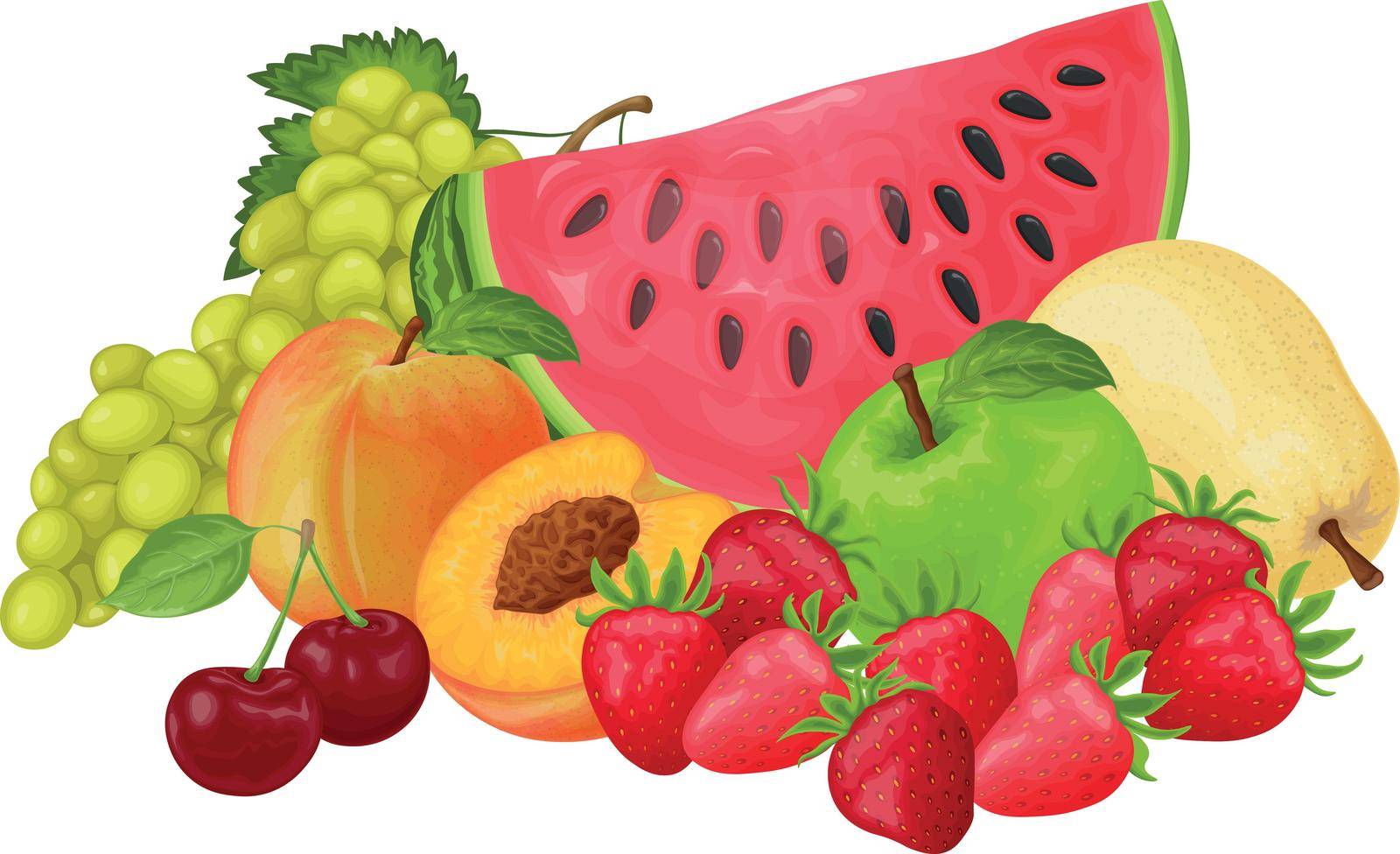 Fruit. The image of fruits such as watermelon, grapes,peach,strawberry and cherry apples and pears. Fruit collection. Still life of fruit. Vector illustration. Fruit set.