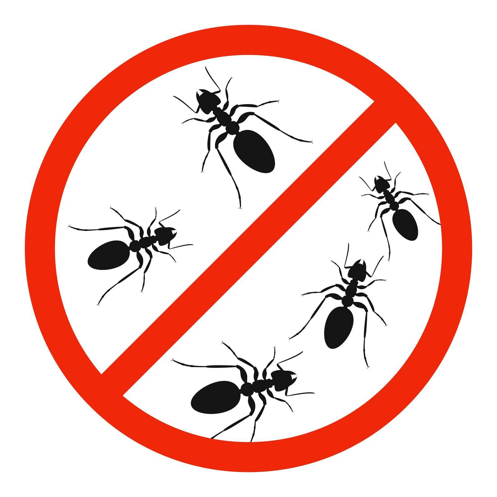 The ants with red ban sign. STOP ants sign isolated. Forbid ant icon. Vector illustration.