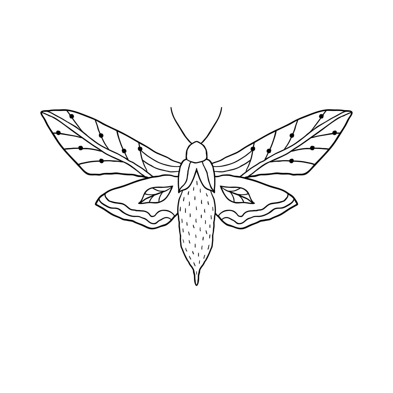 Butterfly in doodle style  by kiyanochka