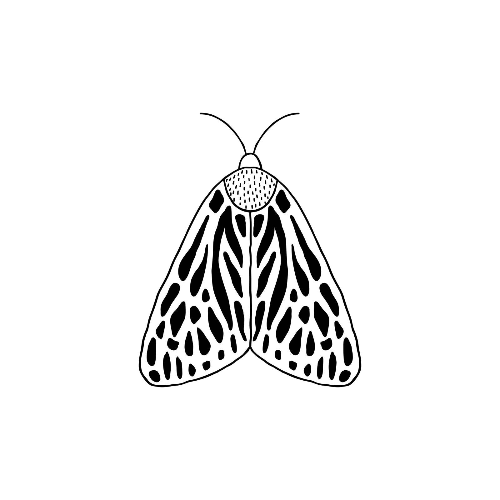 Moth in doodle style isolated on white background.
