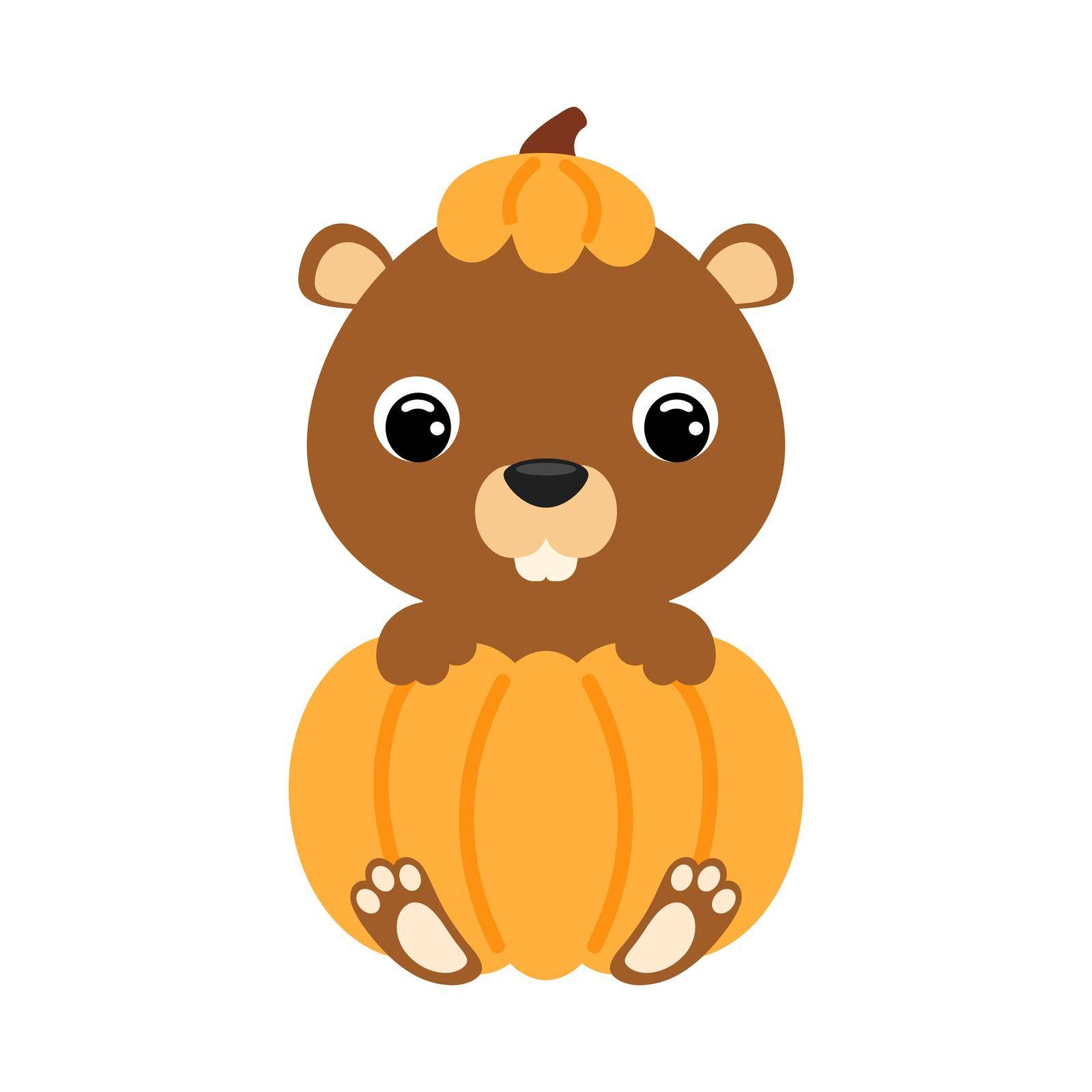 Cute little beaver sitting in a pumpkin. Cartoon animal character for kids t-shirts, nursery decoration, baby shower, greeting card, invitation. Vector stock illustration.