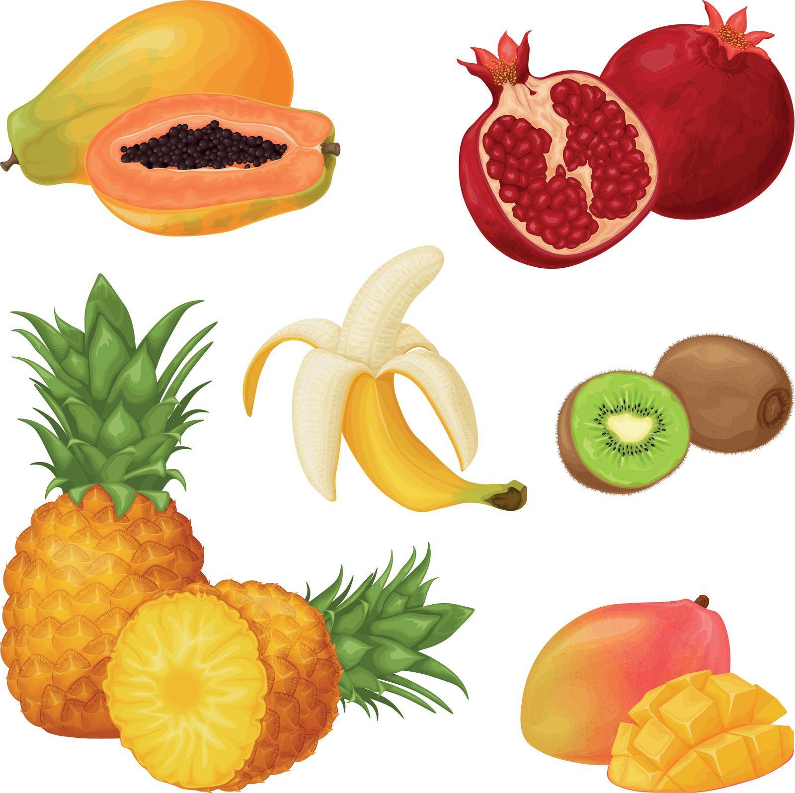 Tropical fruit set. A collection of tropical fruits such as papaya, pomegranate, banana and pineapple, kiwi and mango. Vector illustration.