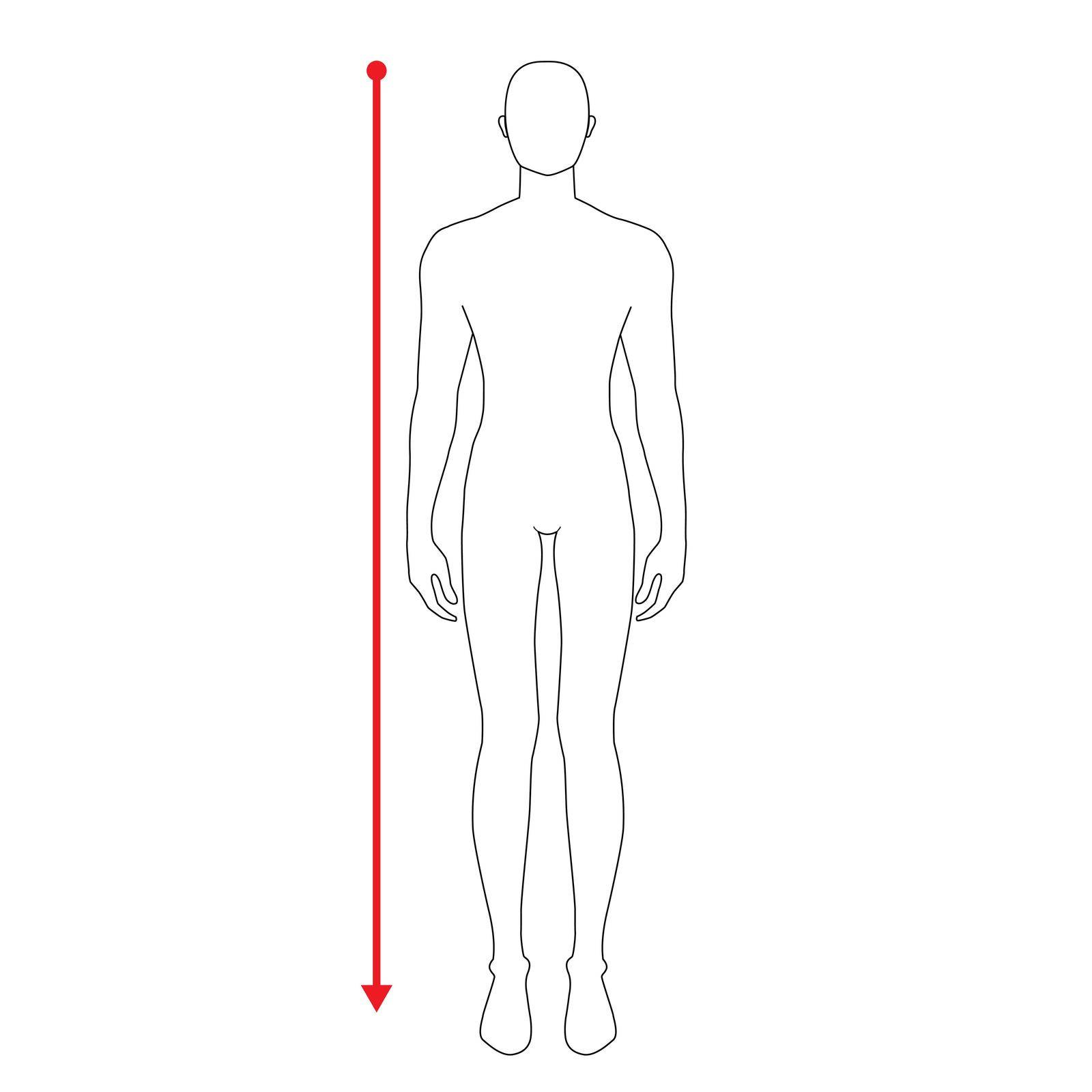 Men to do height measurement fashion Illustration for size chart. 7.5 head size boy for site or online shop. Human body infographic template for clothes.