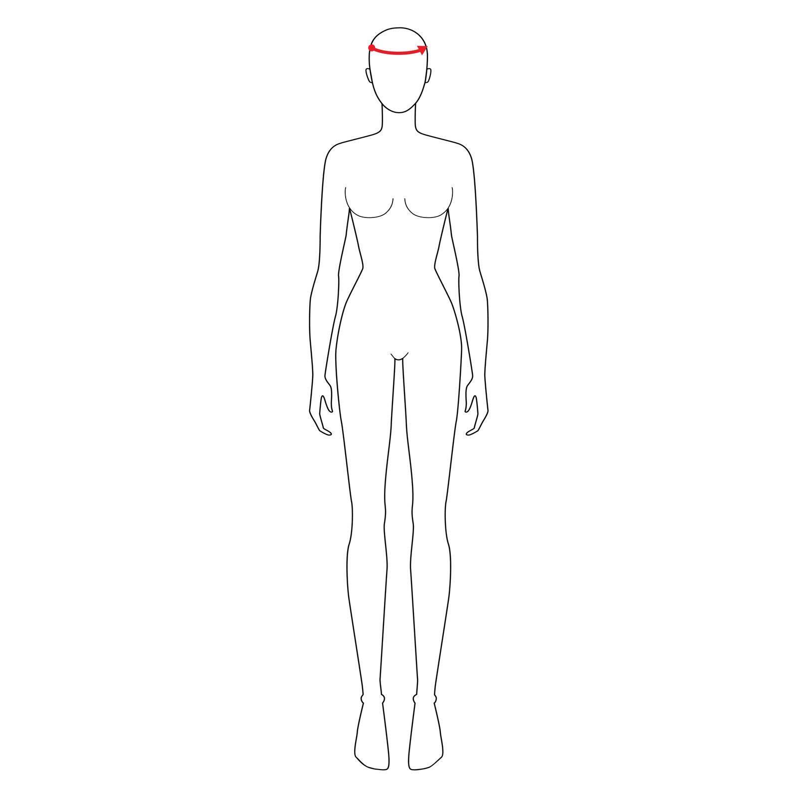 Women to do head measurement fashion Illustration for size chart. 7.5 head size girl for site or online shop. Human body infographic template for clothes.