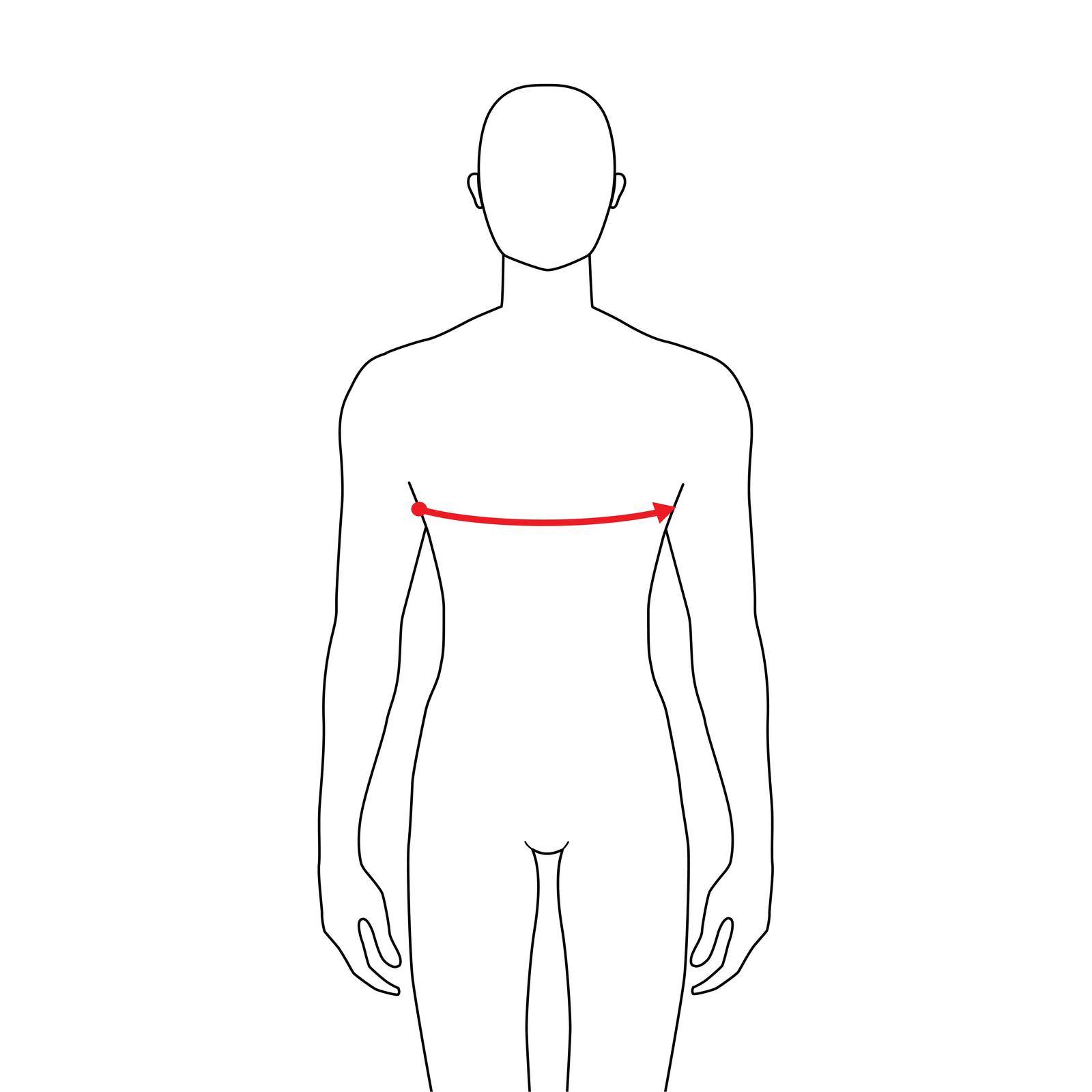 Men to do bust measurement fashion Illustration for size chart. 7.5 head size boy for site or online shop. Human body infographic template for clothes.