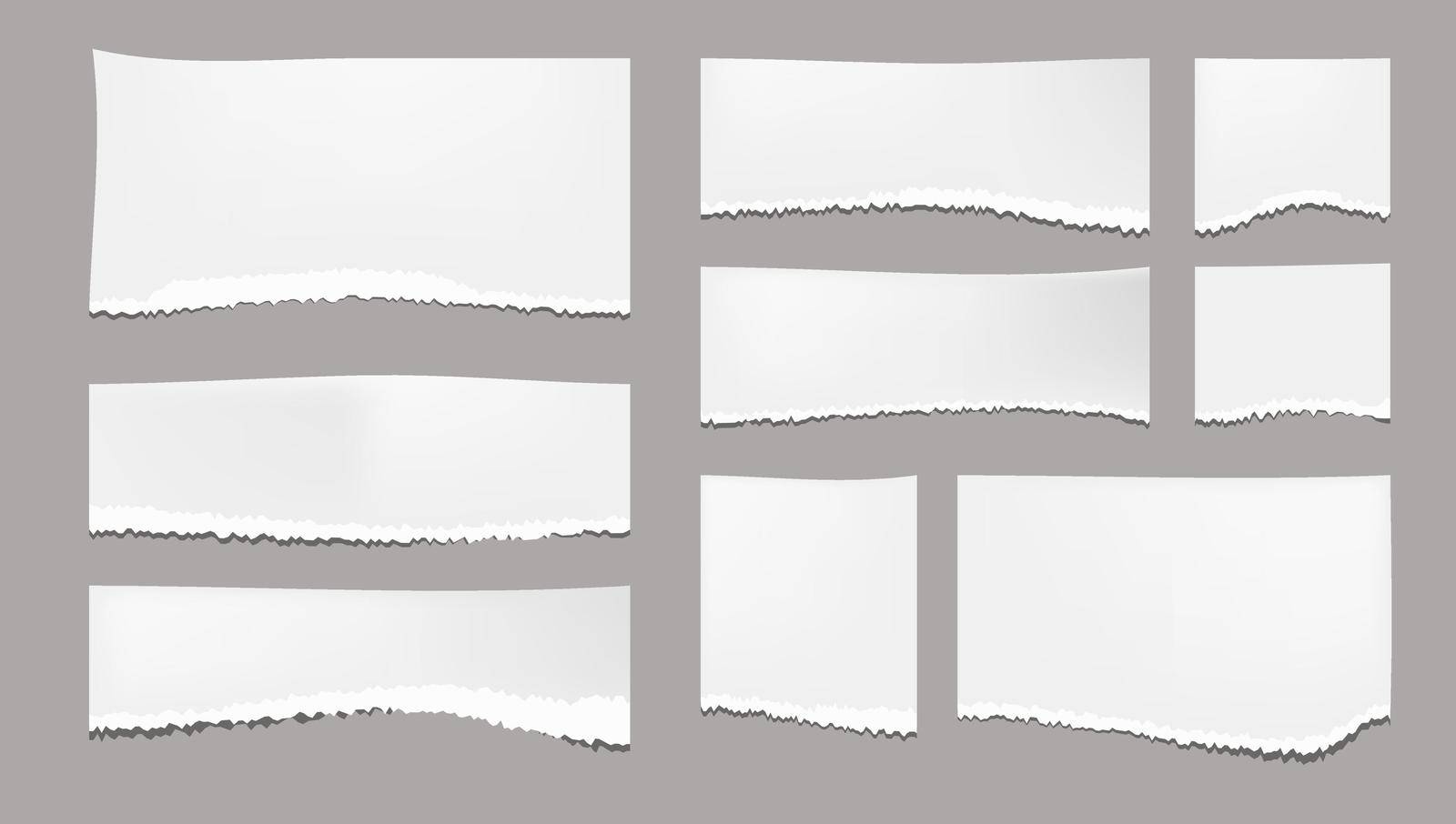 Sharply Torn Paper Edge With Shadow Set. EPS10 Vector
