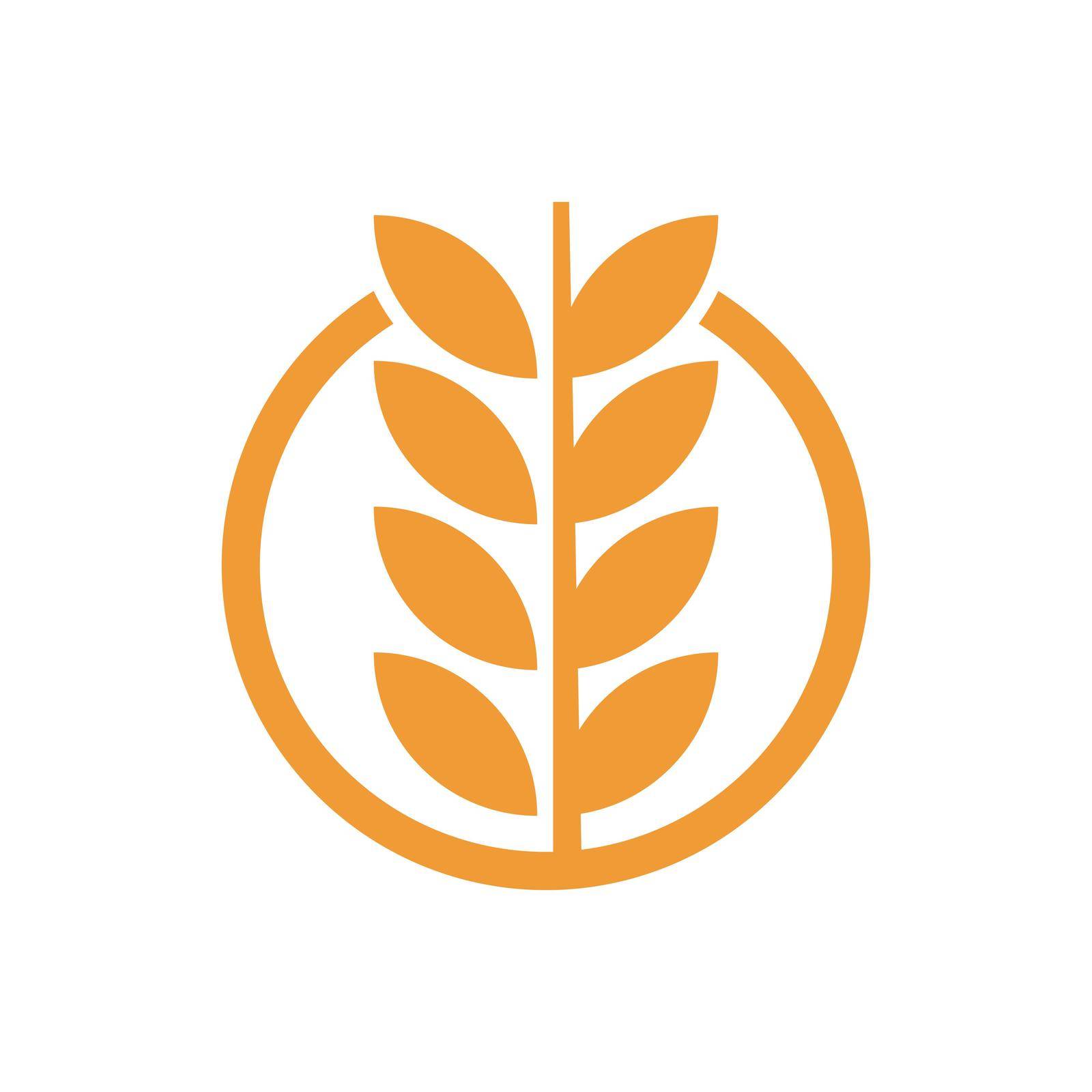 Wheat logo template by awk