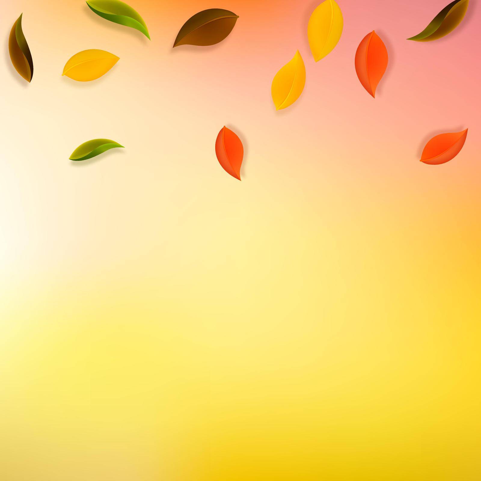 Falling autumn leaves. Red, yellow, green, brown neat leaves flying. Gradient colorful foliage on indelible white background. Awesome back to school sale.