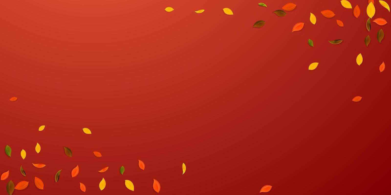 Falling autumn leaves. Red, yellow, green, brown chaotic leaves flying. Corners colorful foliage on attractive red background. Captivating back to school sale.