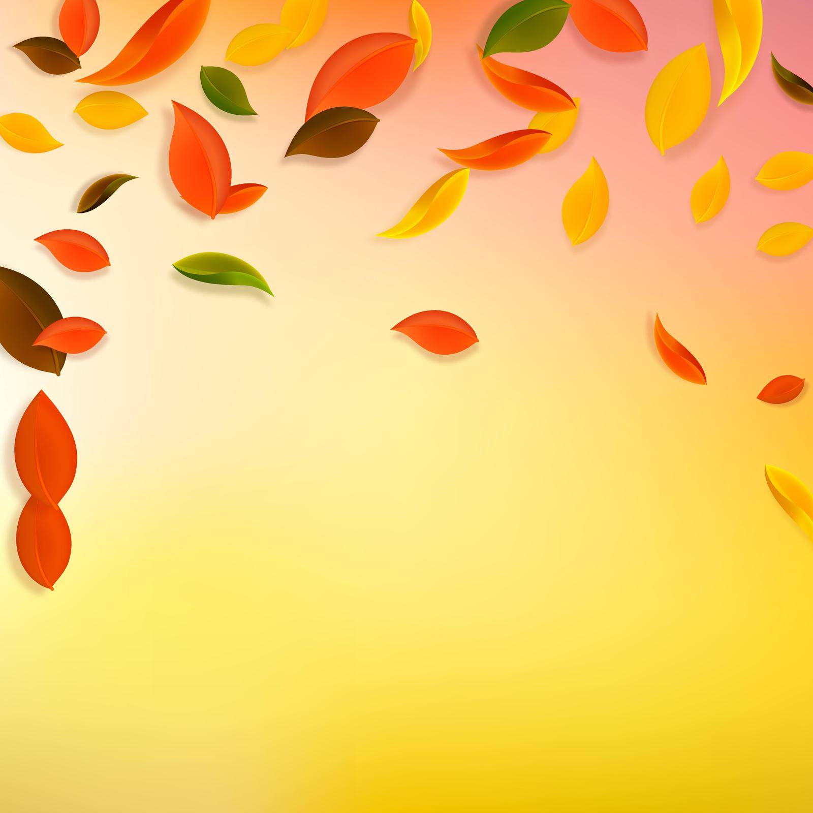 Falling autumn leaves. Red, yellow, green, brown chaotic leaves flying. Falling rain colorful foliage on good-looking white background. Authentic back to school sale.