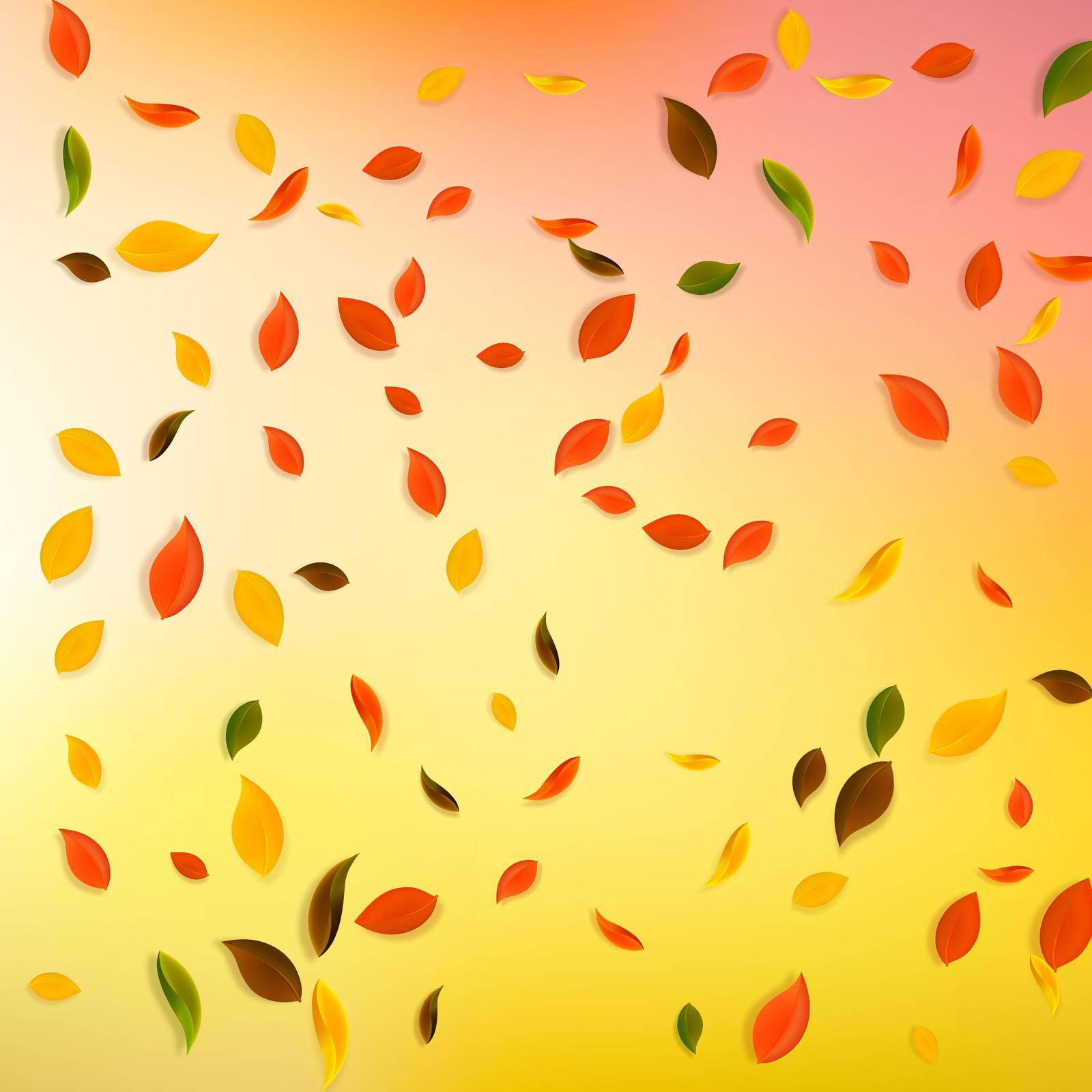 Falling autumn leaves. Red, yellow, green, brown chaotic leaves flying. Falling rain colorful foliage on brilliant white background. Breathtaking back to school sale.