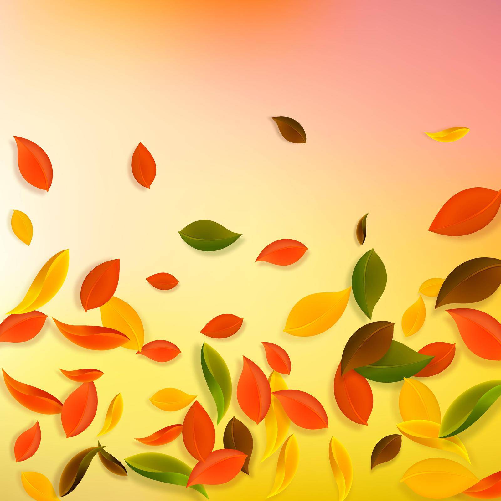 Falling autumn leaves. Red, yellow, green, brown chaotic leaves flying. Falling rain colorful foliage on impressive white background. Breathtaking back to school sale.