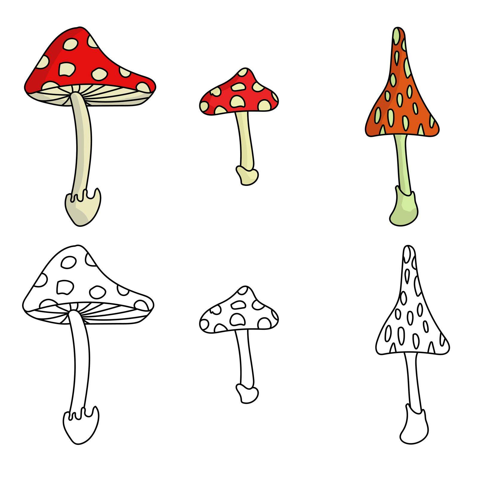 A set of three fly agarics in color and outline, bright dangerous mushrooms by Sunny_Coloring