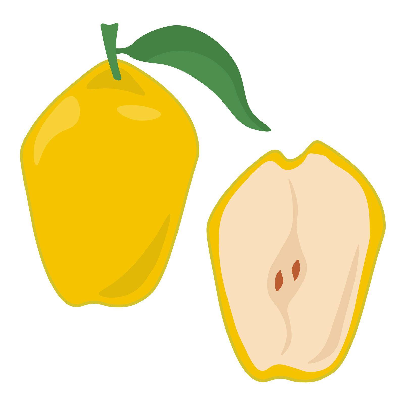 Quince fruit whole and half, juicy yellow fruit of an elongated shape with a green leaf vector illustration