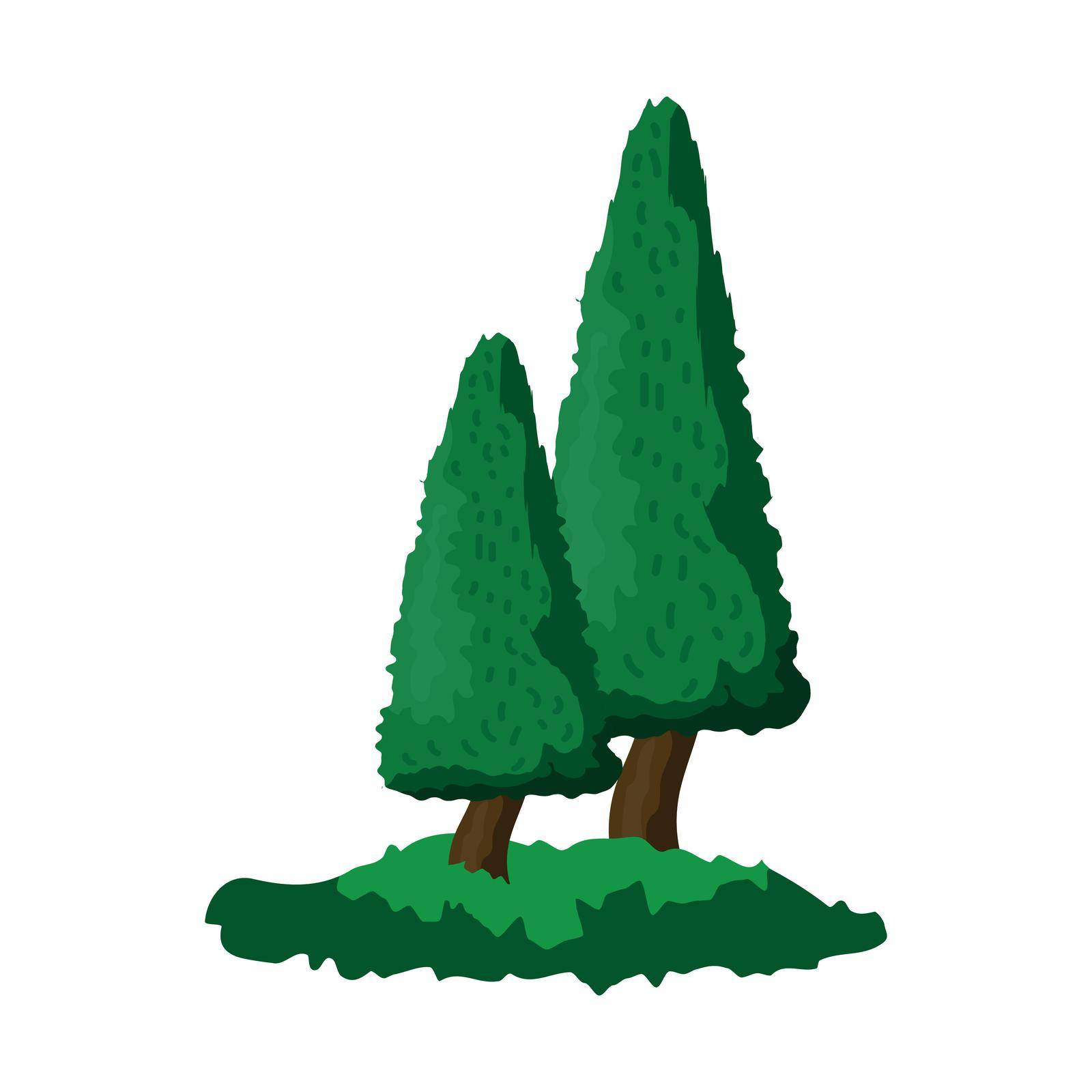 Realistic dense green fir trees on white background - Vector illustration