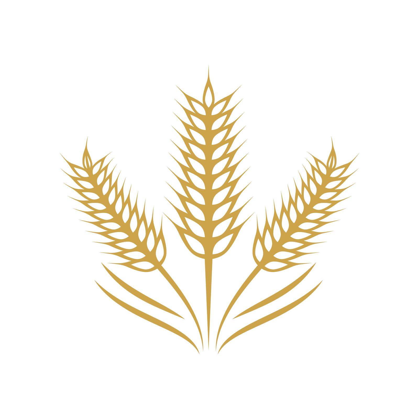 Wheat illustration design by awk