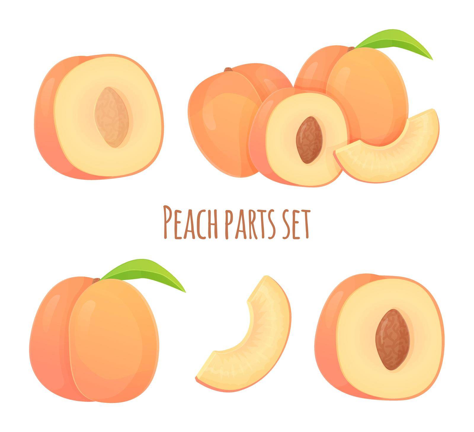 Set of peaches in different shapes, slice, half with seed and without , whole fruit. Can be used for healthy diet, harvest natural eco food concept. Stock vector illustration in realistic cartoon style.