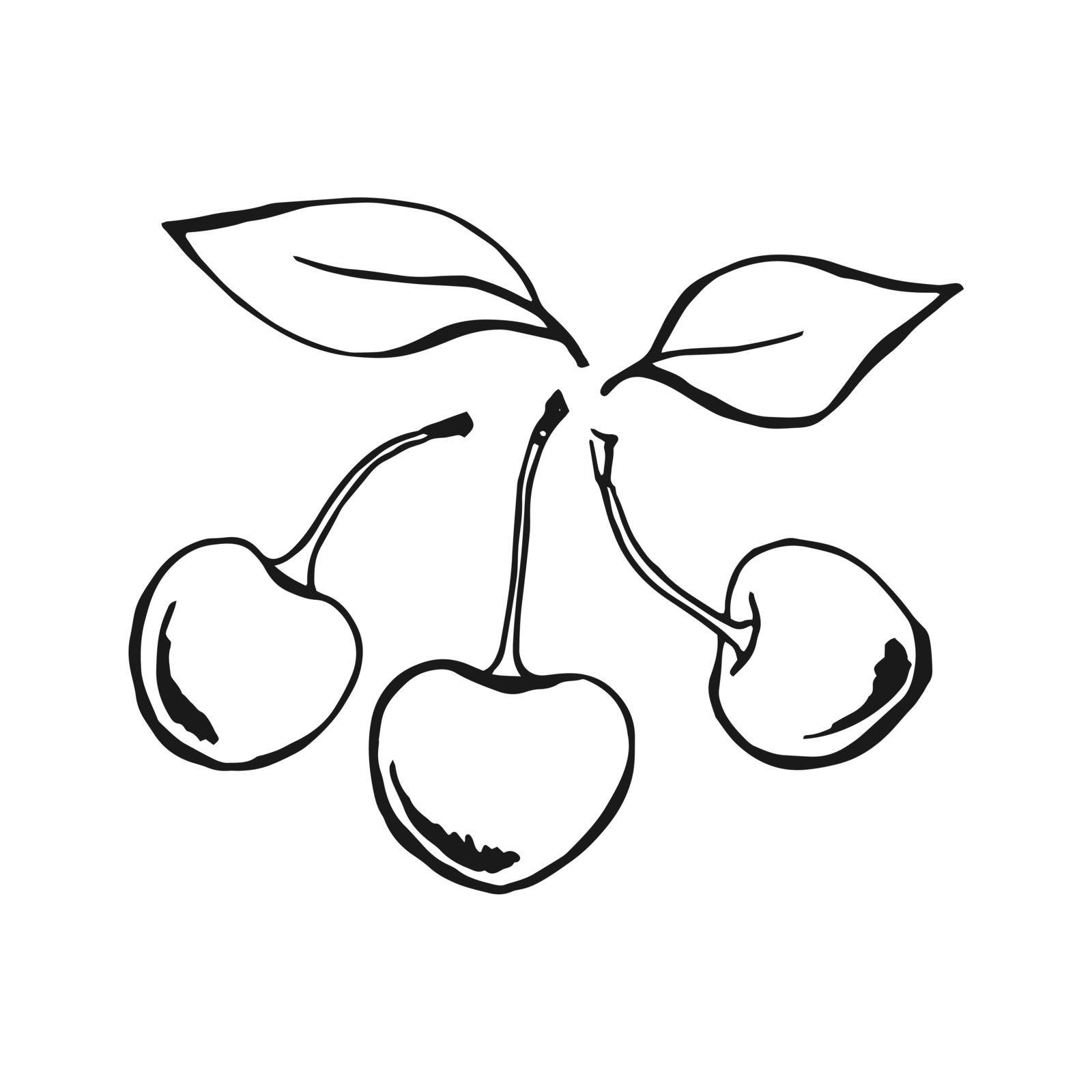 Cherry. Hand drawn illustration converted to vector.
