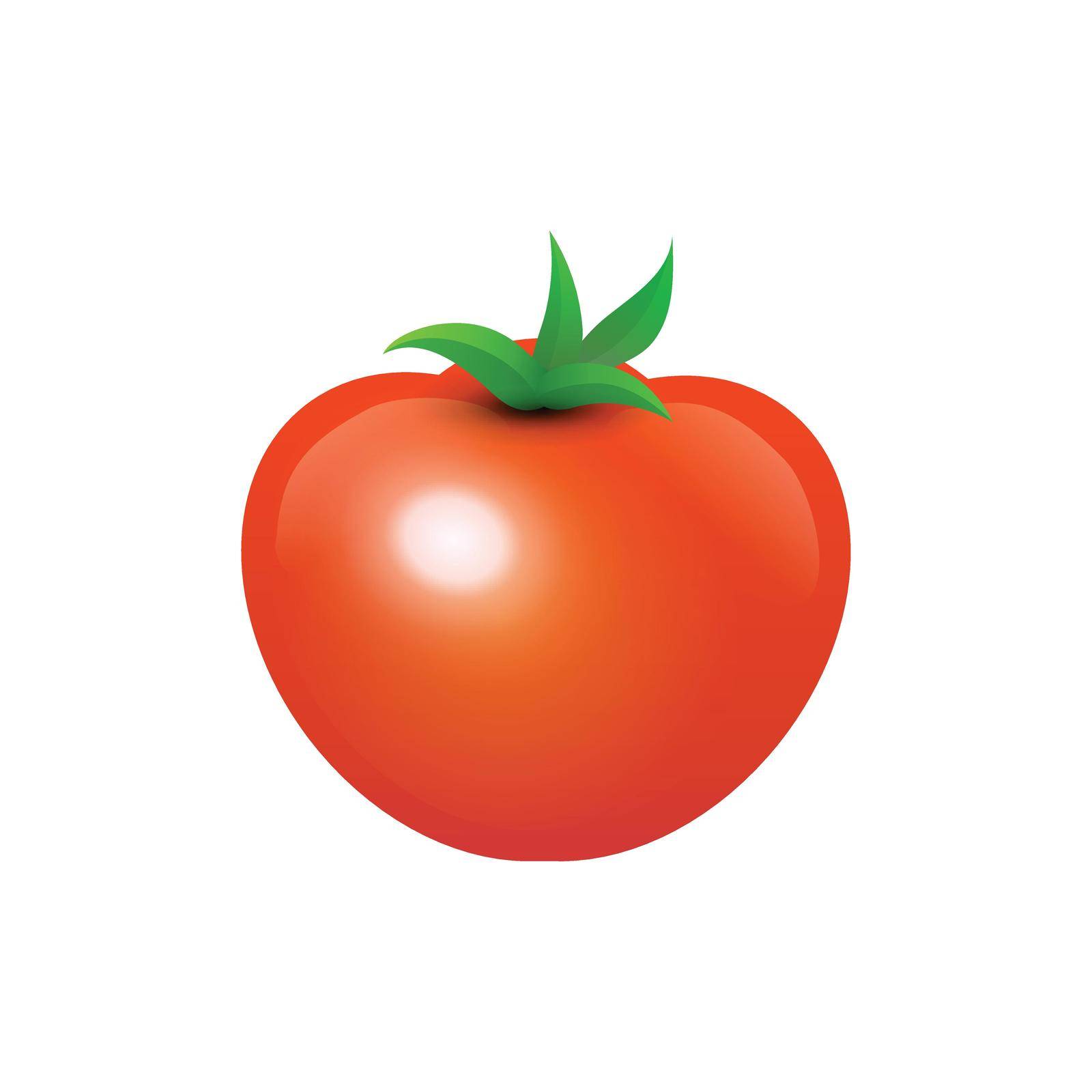Tasty Juicy Tomato by macroarting