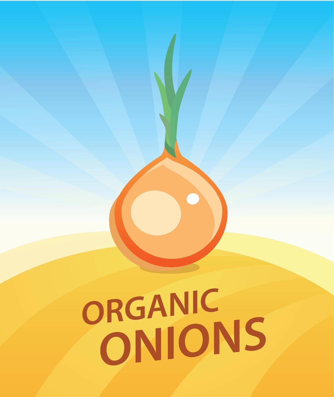 Banner template with Onion - Vegetables trade poster. Ads Placard with copy space on top and bottom area. Symbol of ripe vegetable under blue sky. Colorful vector illustration.