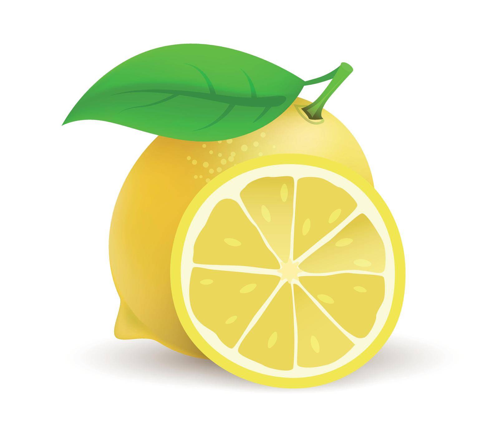Whole single Lemon fruit, realistic vector icon illustration isolated on white background.