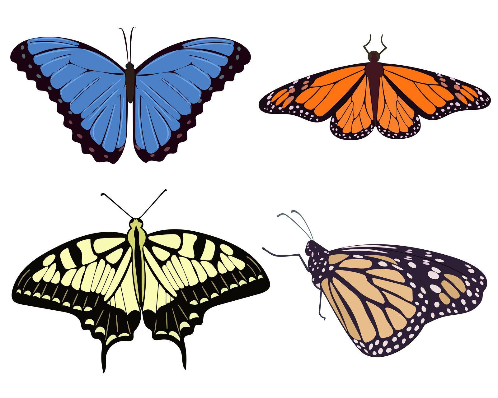 Set of realistic beautiful butterflies vector illustration. Collection of moths yellow orange blue and beige. Symmetrical graceful butterflies.