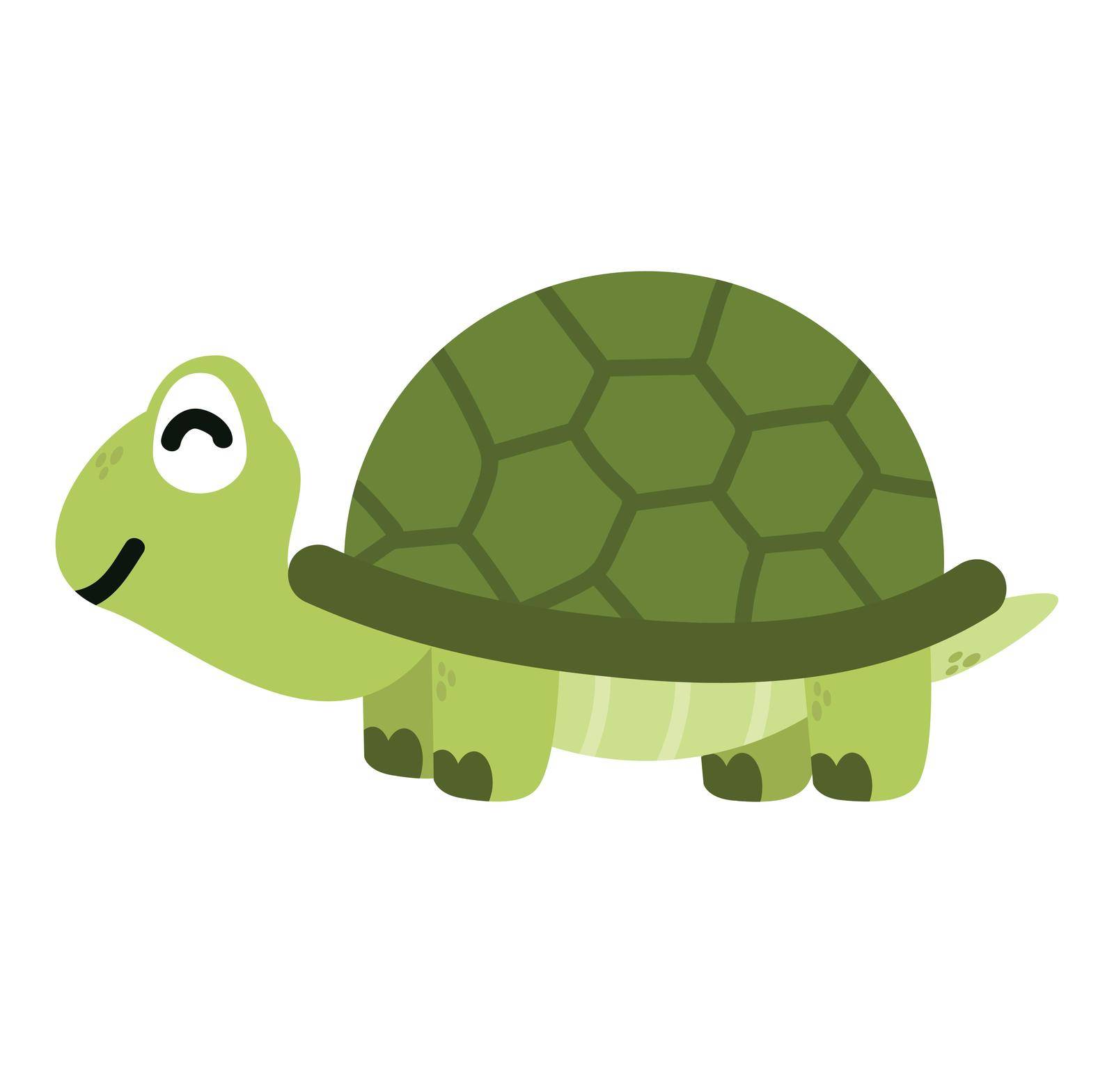  turtle wild  animal cartoon vector by focus_bell