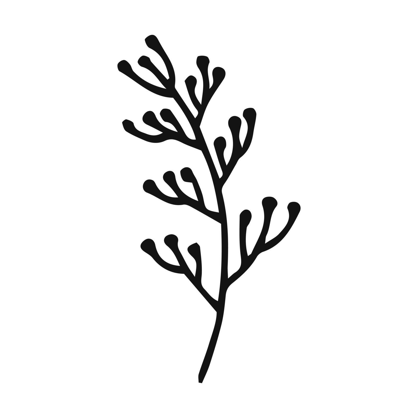 Hand drawn plants outline. Floral and leave element. Line art style isolated on white background. by DaryaKuznetsova