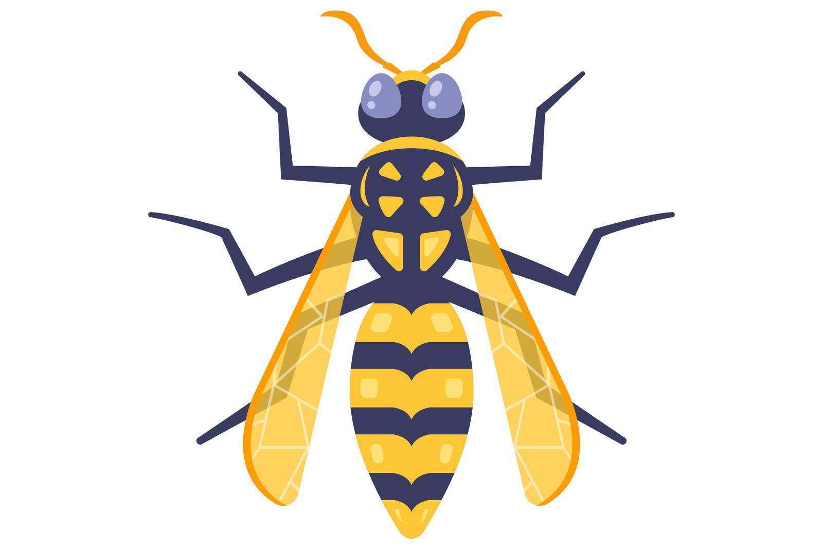yellow dangerous wasp top view. flat vector illustration.