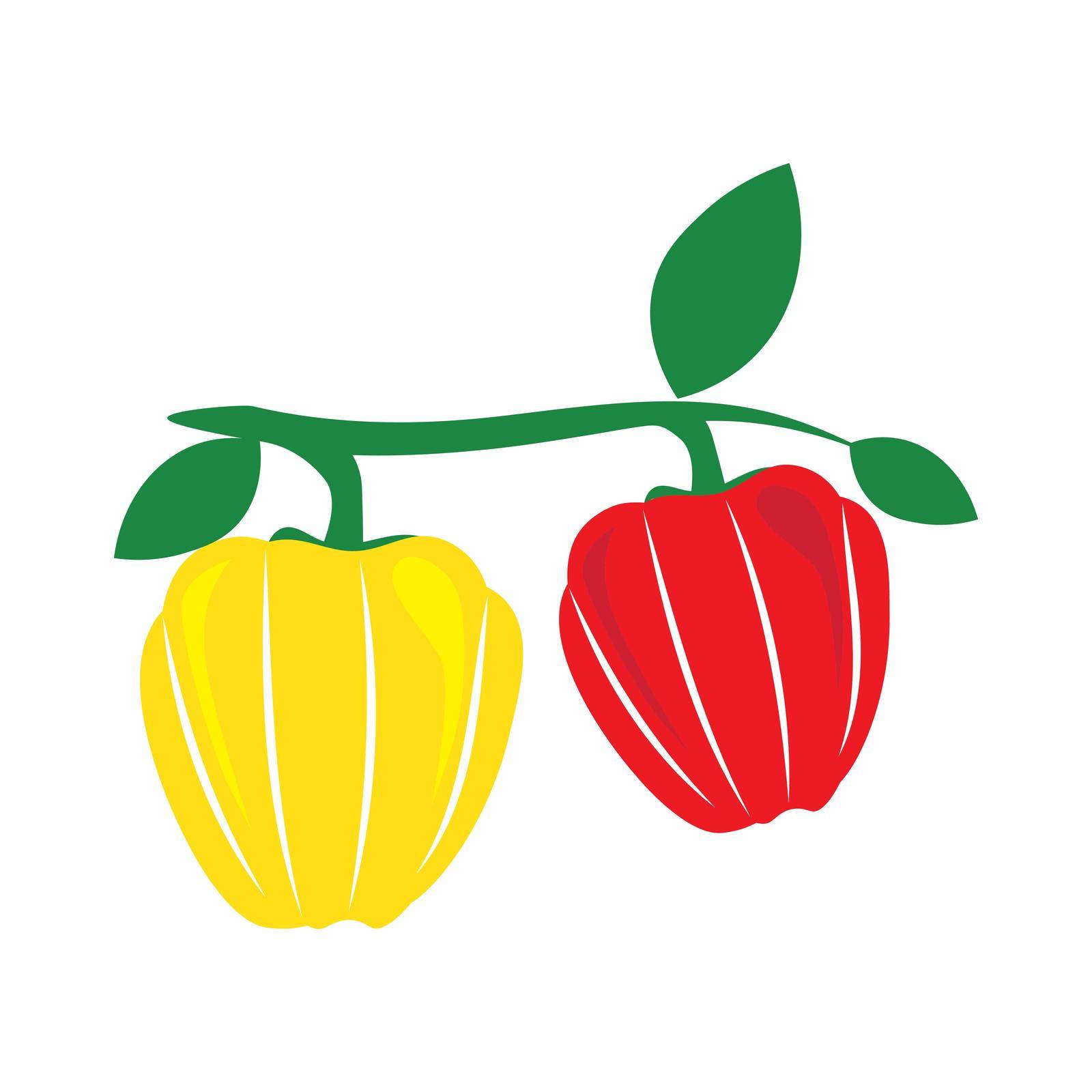 Paprika icon logo vector illustration