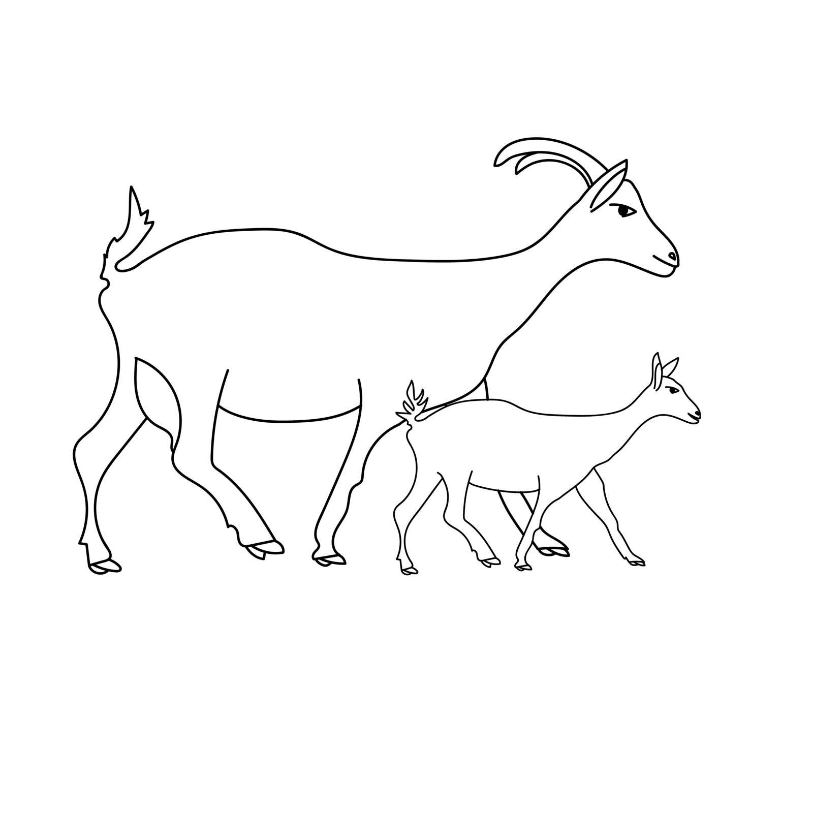 Goat and kid, mom and baby animals, coloring book page for children learning, pets vector outline illustration for design and creativity