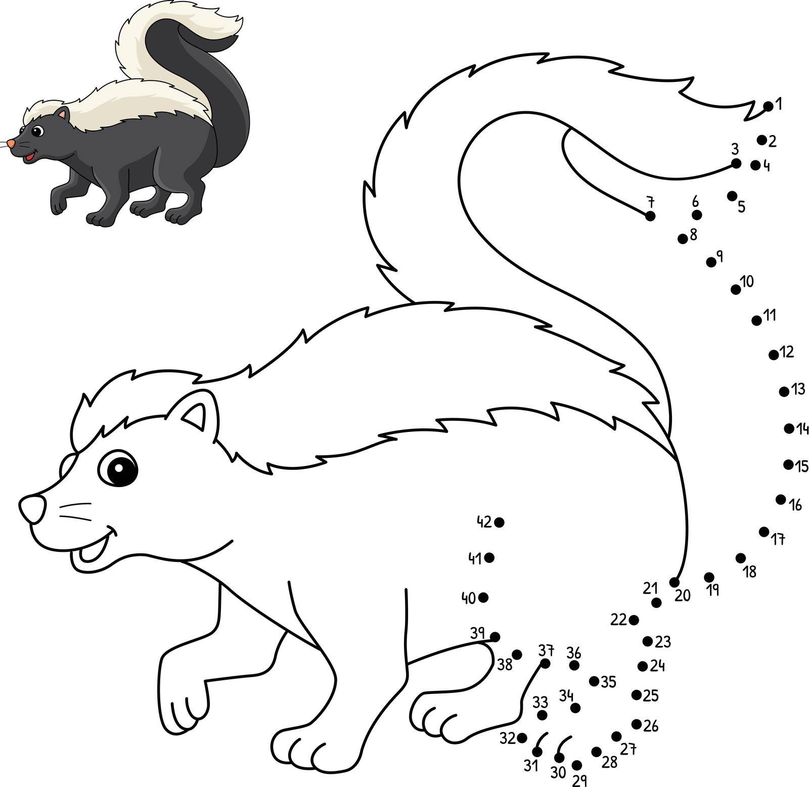 A cute and funny connect-the-dots coloring page of a Skunk Animal. Provides hours of coloring fun for children. Color, this page is very easy. Suitable for little kids and toddlers.