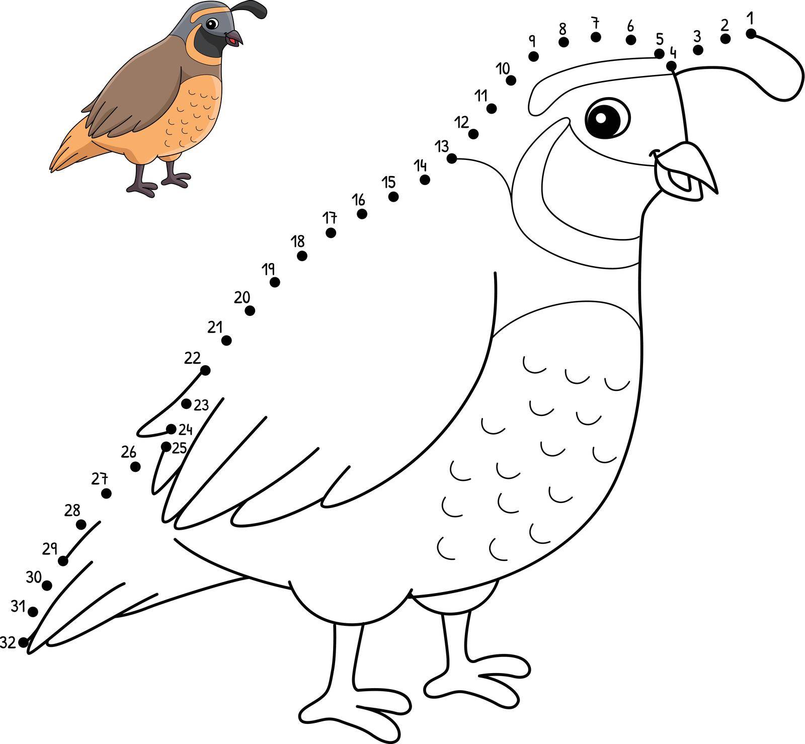 A cute and funny connect-the-dots coloring page of a Quail Animal. Provides hours of coloring fun for children. Color, this page is very easy. Suitable for little kids and toddlers.