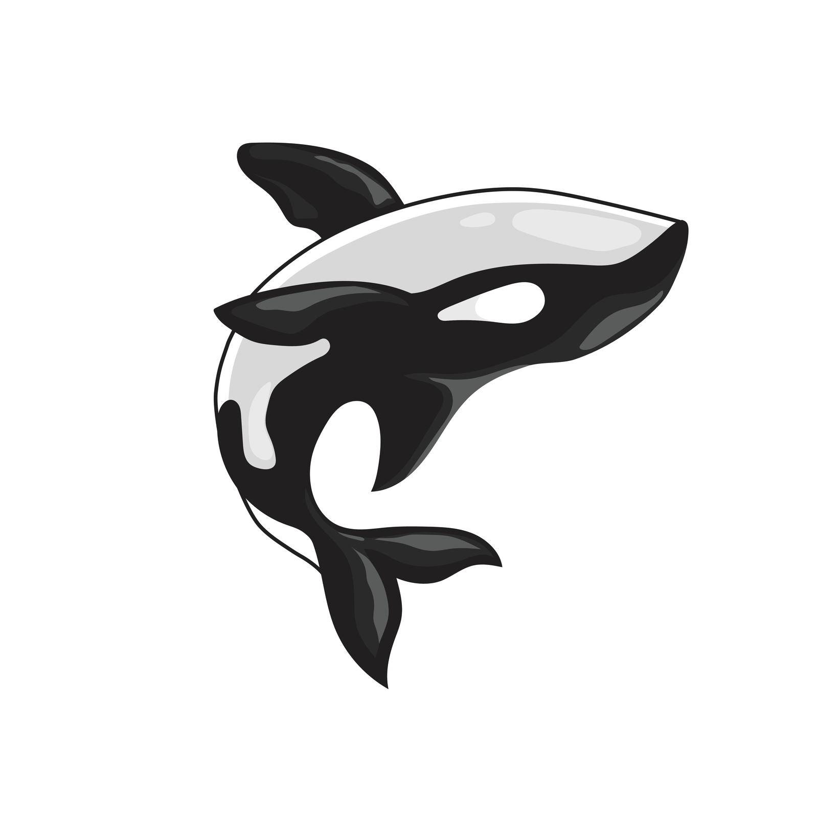 Vector illustration of an orca killer whale