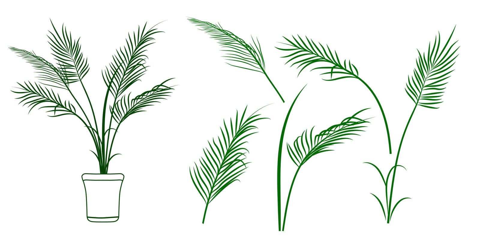 Set of palm leaves, palm branch and potted palm. Tropical plant